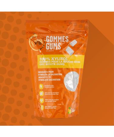 X-PUR - Xylitol Gum For Dry Mouth And Bad Breath - Fruit Flavored Xylitol Gum - Perfect For Diabetics - Stimulates Saliva - 100% Natural - Gluten Free GMO Free - Bag of 500 Gum - Buy Online on GoSupps.com