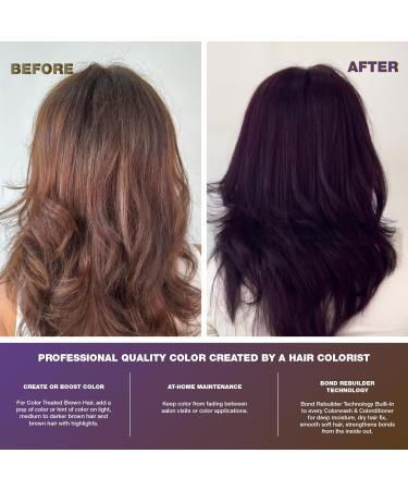 Shop Celeb Luxury Purple Hair Color Shampoo for Brunettes | Vegan Semi-Permanent Color & Bondfix Rebuilder - International Shipping Available - Buy Online on GoSupps.com