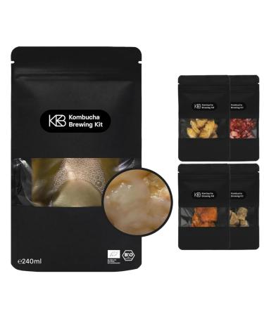 Kombucha Bio Scoby Infusion Bundle starter culture with Kombucha mushroom from bio tea and 4 infusion taste directions for 1.2 2.4 l Kombucha handmade vegan gluten-free lactose free 240 ml 240 ml infusion bundle (1 Pack)