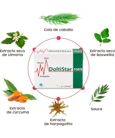DOLTISTAR FORTE 45 CAP. - Buy Online on GoSupps.com