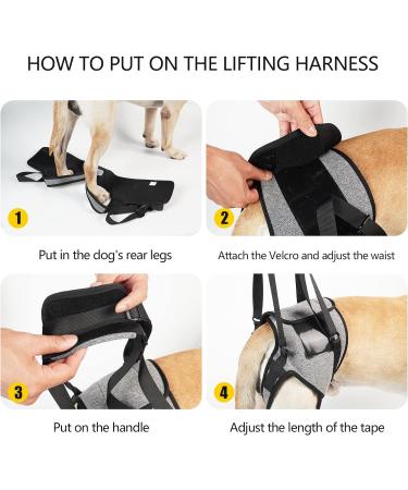 Dotoner Dog Lifting Harness Soft Support Loop for Injured Dogs | Adjustable Dog Food Dishes for Hind Legs | Size M (Gray) | Ideal for Small Medium & Large Pets - Buy Online on GoSupps.com