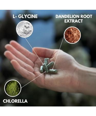 AlkaDetox Binder Tablet with Fiber chlorella/Chlorophyll, Liver & Gut Detox Cleanse, Colon and Toxin Flush. glycine and Dandelion Root and salud, Pure no fillers. 60 Capsules. - Buy Online on GoSupps.com