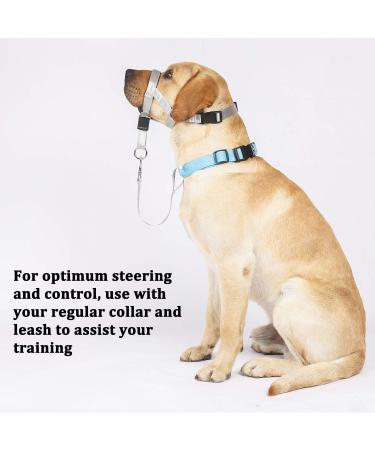 Shop No Pull Dog Halter - Medium Gray Dog Training Tool with Instructions for Comfortable Walks - Buy Online on GoSupps.com
