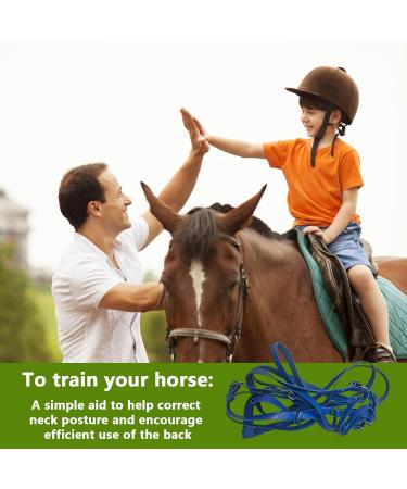 Halter for Horse | Safety Halter Chin & Throat Snap Heavy Duty Tied Halter Colorful Padded Nylon Size Horse Care for Horse Grooming Training Pochy Blue - Buy Online on GoSupps.com