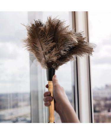 Kioiner Ostrich Feather Duster 34cm/13.3inch Antistatic Natural Ostrich Feather Duster Fluffy Feather Duster with Wooden Handle for Home Office Car Keyboard Blinds Bookcase Furniture - Buy Online on GoSupps.com