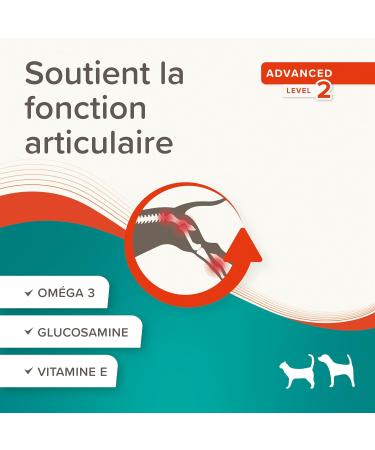 BEAPHAR Flexifit Joint Paste for Dogs and Cats Contains vitamins collagen glucosamine calcium and essential fatty acids for animals suffering from stiffness Level 2 250g - Buy Online on GoSupps.com