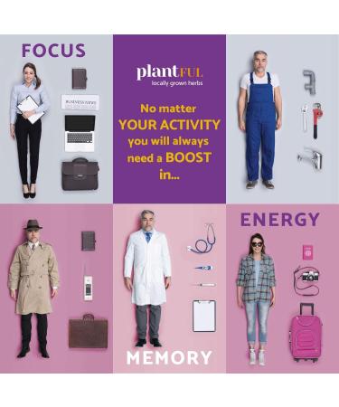 Enhance Focus, Energy & Memory with Nootropic Brain Supplement | Fast-Absorbing Brain Vitamins for Adults | Nootropics Pills with Ginkgo Biloba, St. John's Wort & Bacopa Monnieri - Buy Online on GoSupps.com