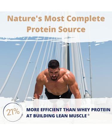 Gaspari Nutrition Proven Egg 100% Egg White Protein - Chocolate 2 lb (900g) | High Quality Protein Supplement - Buy Online on GoSupps.com