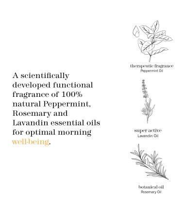 Buy thisworks Morning Expert Wake-Up Drops - Mint Herb & Rosemary Essential Oils for Morning Motivation | 5ml - International Shipping Available - Buy Online on GoSupps.com