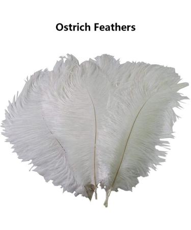 OstrichFeather Wedding Decor | Natural OstrichPlumes | Feather Accessories for Clothing Wedding Feather Centerpieces OstrichFeather Bouquet Bulk Ostrichfeathers - Buy Online on GoSupps.com