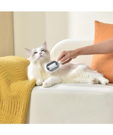 2-Piece Animal Hair Removal Comb Set | 4-in-1 Cat Brush with Water Tank | Multifunctional Pet Cleaning & Massaging Brush - Blue & Pink - Buy Online on GoSupps.com