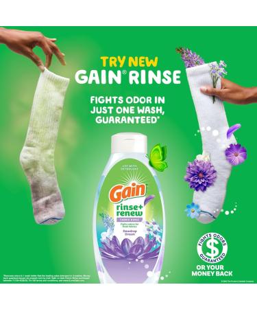 Gain Rinse and Renew Fabric Rinse - Dewdrop Dream 48 fl oz | Odor Fighter | International Shipping Available - Buy Online on GoSupps.com