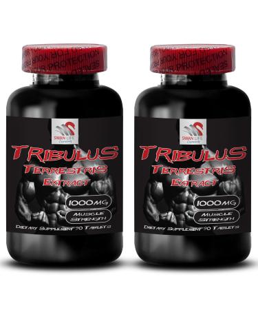 Physical Endurance - TRIBULUS TERRESTRIS EXTRACT - Energy Empowerment Body Power Plant-Based Boost Energy Optimization Strength Resilience Body Performance Athletic Recovery 2 Bottles 180 Tabs