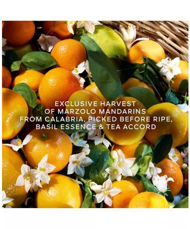 GUERLAIN Aqua Allegoria Harvest Mandarine Basilic Eau De Toilette Spray for Women 4.2 Ounce - Buy Online on GoSupps.com