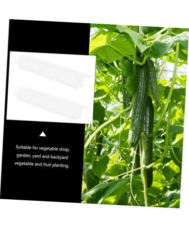 OFFSCH 2pcs Melon and Fruit Shaping Mold Cucumber Growing Cucumber Forming Shape Cucumber Heart Shape Heart Shaped Cucumber Star Mold Cucumber Shaping Molds Rigid Plastic Gourd - Buy Online on GoSupps.com