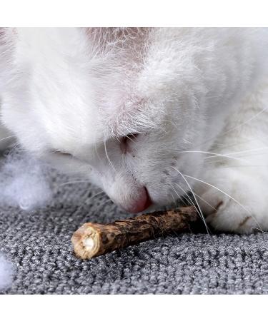 onebarleycorn Cat Catnip Toys for Cats Cat nip Toy Sticks Natural Matatabi Kitten Chews Toy Dental Treats Teething Stick for Cats Pack of 20 pcs 20 count (Pack of 1) - Buy Online on GoSupps.com