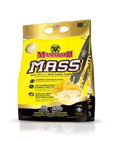 Interactive Nutrition Mammoth Mass Supplement 5 lbs Banana 2.2kg Banana