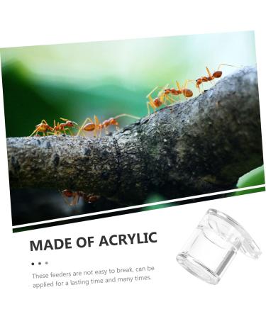 Minkissy Ant Farm Set - 2 Piece Ants Water Feed Station for Ants Nest | Observatory for Anthill Colony - Ideal for Scientific Education and Agriculture - Buy Online on GoSupps.com