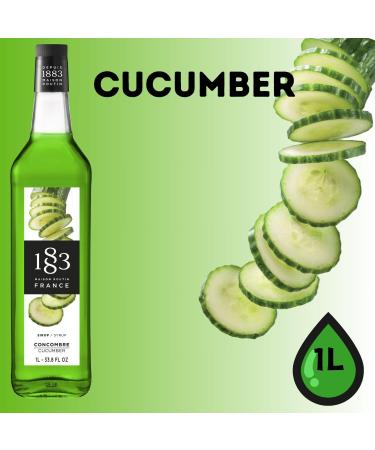 1883 Maison Routin France Syrup Pick N Mix - Choose From 100+ Flavours for Coffee Hot Chocolate Mocktails Iced Tea Cocktails Desserts Milkshakes - Pack of 2 x 1Ltr - Buy Online on GoSupps.com
