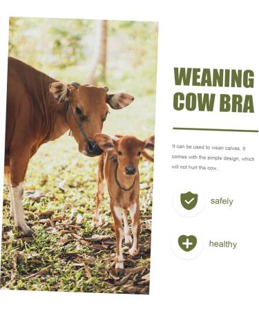 Buy Milk Hood for Cattle - Durable Plastic Cow Breast Protector & Weaner | Outdoor Farm Supplies - Buy Online on GoSupps.com