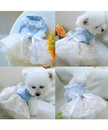 BT Bear XL Clear Dog Dress - Cute Puppy Rock Tutu for Small Dogs & Cats | Princess Lace Wedding Outfit (Hellblau) - Buy Online on GoSupps.com