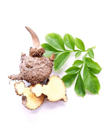 Sinesia Beauty Cuddles Chocolate Face Mask | Vegan Hydrating Skin Firming Treatment (1.7 oz) | Natural Spa Pore-Tightening Cocoa Butter Formula - Buy Online on GoSupps.com