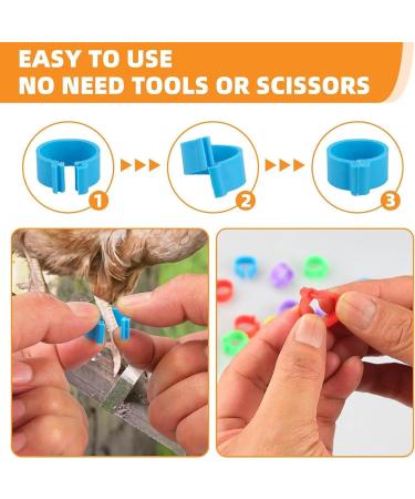 Toseky Poultry Duck Leg Tags Chicken Leg Rings - Numbered Leg Band Chicken Identification Leg Bands for Chicken Ducks  - Buy Online on GoSupps.com