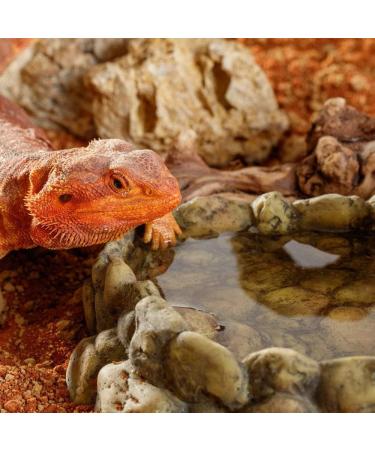 Exo Terra XL Corner Water Dish for Reptiles - Brown Extra Large - Buy Online on GoSupps.com