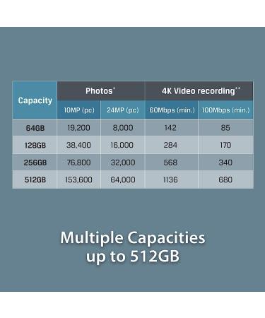 Kingston 256GB microSDXC Canvas Go Plus 170MB/s Read UHS-I, C10, U3, V30,  A2/A1 Memory Card + Adapter (SDCG3/256GB)