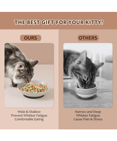 Ceramic Cat Food Bowl Set - Colorful Cat Feeding Bowls with Non Slip Mat - Wide Shallow Cat Bowl Whisker Friendly - Cat Plates - Cute Cat Dish - Microwave Dishwasher Safe - 6 Pack - 8.5 oz - 5.75 inch 6 Colors - Buy Online on GoSupps.com