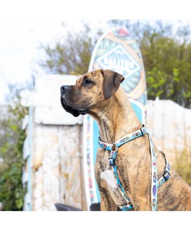 Max & Molly H-Harness - Aloha | Premium Pet Harness for Stylish Dogs | International Shipping Available - Buy Online on GoSupps.com