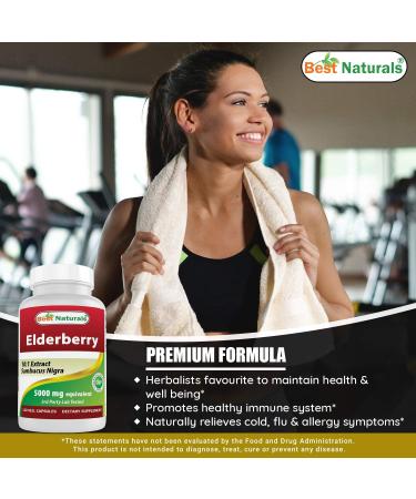 Best Naturals Elderberry Sambucus Nigra 5000mg 120 Veg Capsules - Immune Support Formula - Buy Online on GoSupps.com