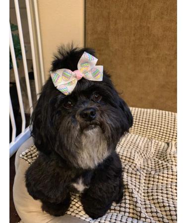 1000pcs 100G/Pack Dog Rubber Bands for Hair Grooming - DIY Bows for Pets - Small to Large Dogs - Buy Online on GoSupps.com