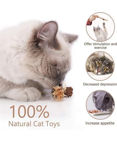 Organic Cat Mint Sticks - 6PCS Dental Toys for Cats | Chew & Clean Cat Sticks | Kaust Sticks for Healthy Teeth - Buy Online on GoSupps.com
