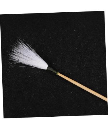 Anneome Ear Cleaning Tools Ear Wax Removal Kit Home Earwax Removal Sticks for Massage Clean - Buy Online on GoSupps.com