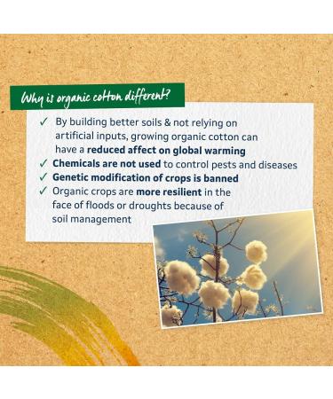 Lil-Lets Organic Non-Applicator Super Plus Tampons 16 Count - 100% Organic Cotton - GOTS Certified - Vegan - Plastic Free Period Care - Buy Online on GoSupps.com