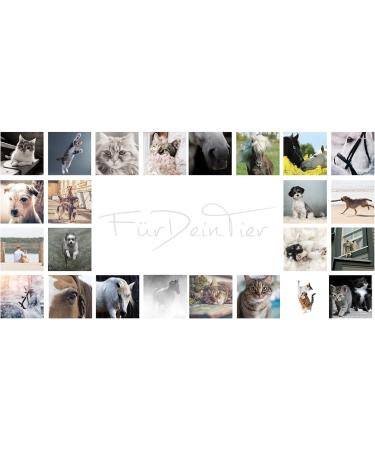 CaniMove 300 Capsules - Cardio Mini Supplement for Dogs | Supports Heart Function | Buy Online Internationally - Buy Online on GoSupps.com