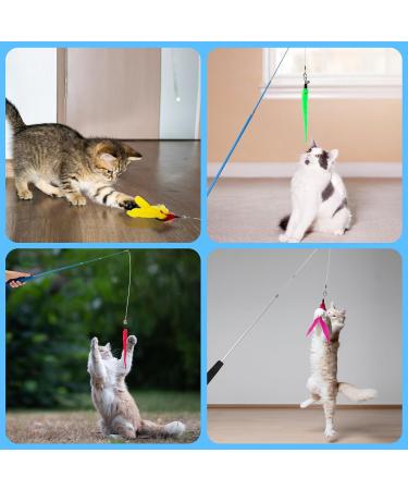 Shop Ukofew 12-Piece Cat Fishing Toys with Springs & Feathers Interactive Fun for Cats of All Sizes | International Shipping Available - Buy Online on GoSupps.com