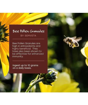 100% Raw Bee Pollen - (300g) Bee Pollen Superfood - Antioxidant Rich Bee Pollen Granules - for Vitality & Longevity - Free from Any Additives & Fillers - Buy Online on GoSupps.com
