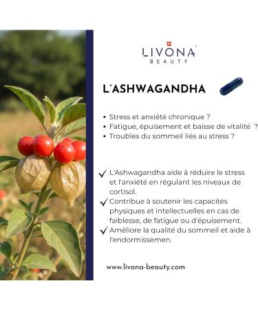 Millepertuis et ASHWAGANDHA - Avec passiflore Tryptophane Vitamine B1 - Compl ment alimentaire 60 g lules V ganes - Hautement concentr - Humeur & Sommeil - Naturel Sans Additifs - Buy Online on GoSupps.com