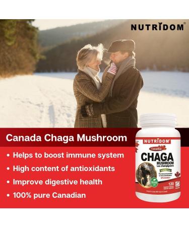 Nutridom Canadian Chaga Mushroom Capsules 500mg 100% Authentic Canadian Chaga Mushrom Extract Supplement Vegan Wild-Harvested Hand-picked Gluten Free Soy Free Dairy Free & Non-GMO (120 Veggie capsules) - Buy Online on GoSupps.com