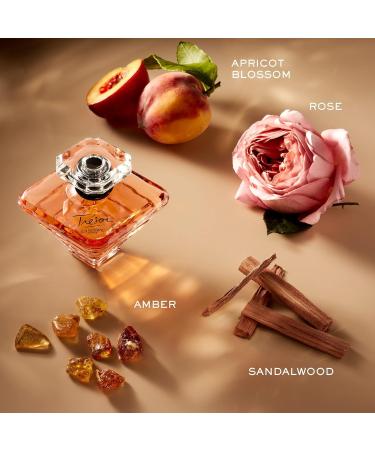 Lanc me Tr sor Eau de Parfum - Long Lasting Fragrance with Notes of Rose Lilac Peach & Apricot Blossom - Elegant & Romantic Women's Perfume 1.7 Ounce (Pack of 1) - Buy Online on GoSupps.com