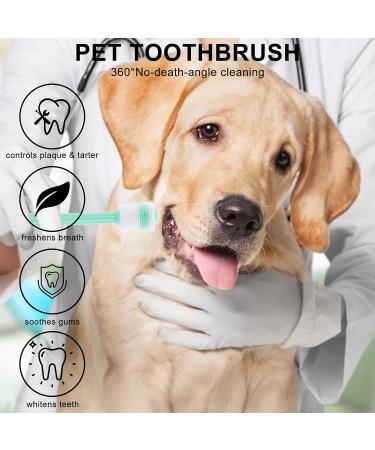 Molain Dog Toothbrush 360 Degree 2 Set Silicone Handle Cat Toothbrushes with Storage Box Puppy Dogs Pet Tooth Cleaning Kit (Pink+Blue) 1 count (Pack of 2) - Buy Online on GoSupps.com