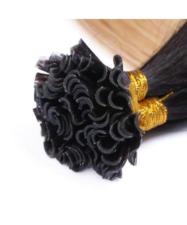 Shop Premium Keratin Bonding Hair Extensions - 1B/24 Ombre 60cm 50 Strands - 100% Remy Real Hair U-Tip by Novon Hair Extensions - Buy Online on GoSupps.com