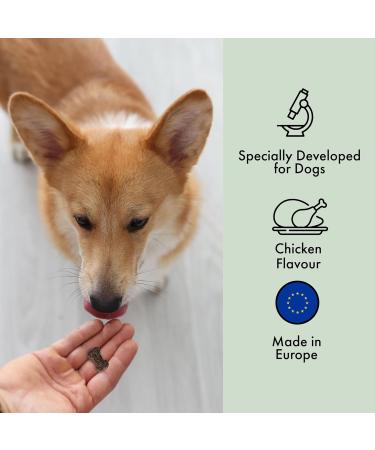 Belly 100 Chews Pre & Probiotics for Dogs - 100 Dog Gut Health Chews - UK Dog Probiotic Supplements - Buy Online on GoSupps.com