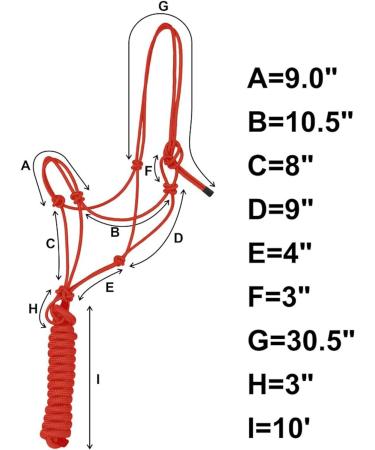 Majestic Ally 1/4" Rope 4 Knot Stiff Polyester Training Halter with 10 Matching Lead Rope for Horses Full (Red Full) Red Full - Buy Online on GoSupps.com