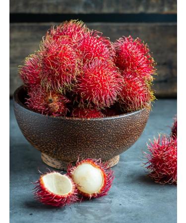 Thai Rambutan with Pineapple In Syrup for Cocktails Desserts Topping 565g HALAL - Buy Online on GoSupps.com