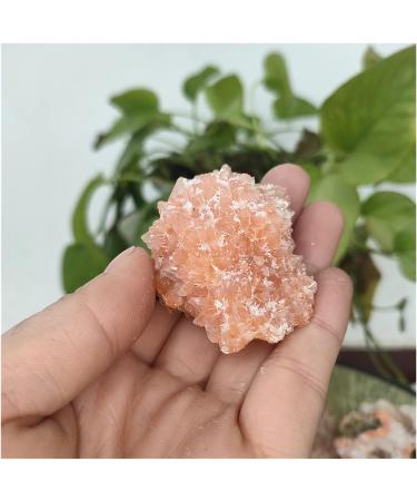 Natural Crystal Rough Rare Natural Raw India Zeolite Cluster Irregular Rough Stone Crystal Rock Ornaments Specimen Reiki Decor PEIQIYIN (Size : 45-50g) - Buy Online on GoSupps.com