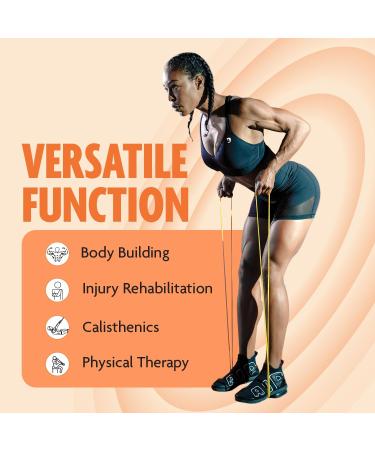 DMoose Pull Up Assistance Bands - Powerlifting Strength Training & Mobility Rubber Bands for Men & Women - Versatile 4 in 1 Workout Solution - Buy Online on GoSupps.com