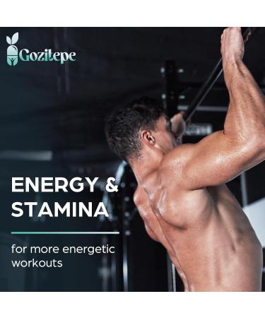 Gozitepe Shilajit High Potency Purified Himalayan Shilajit Resin with Fulvic Minerals & Humic Acids Vegan 1 Pack 1 Piece Pack of 1 - Buy Online on GoSupps.com